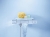 Grohe Grotherm Cube bateria natryskowa termostatyczna 34491000